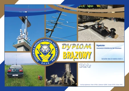 Dyplom Brązowy