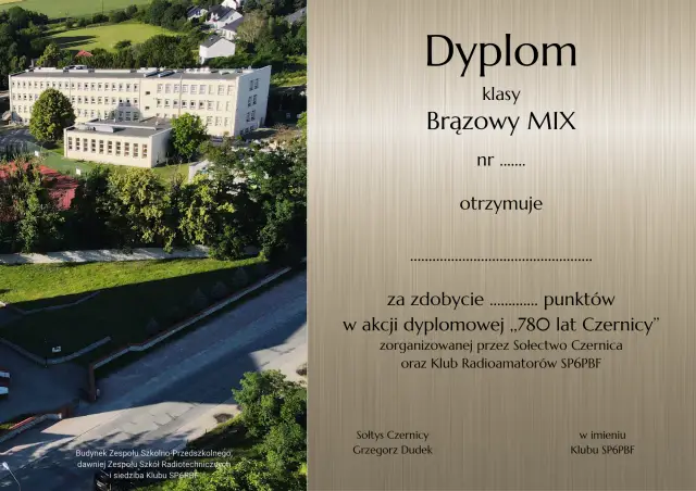 Brązowy MIX