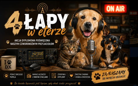CZTERY ŁAPY – PRZYJACIELE NA FALI
